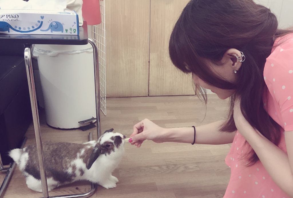 f:id:naruki_h:20160707094756j:plain