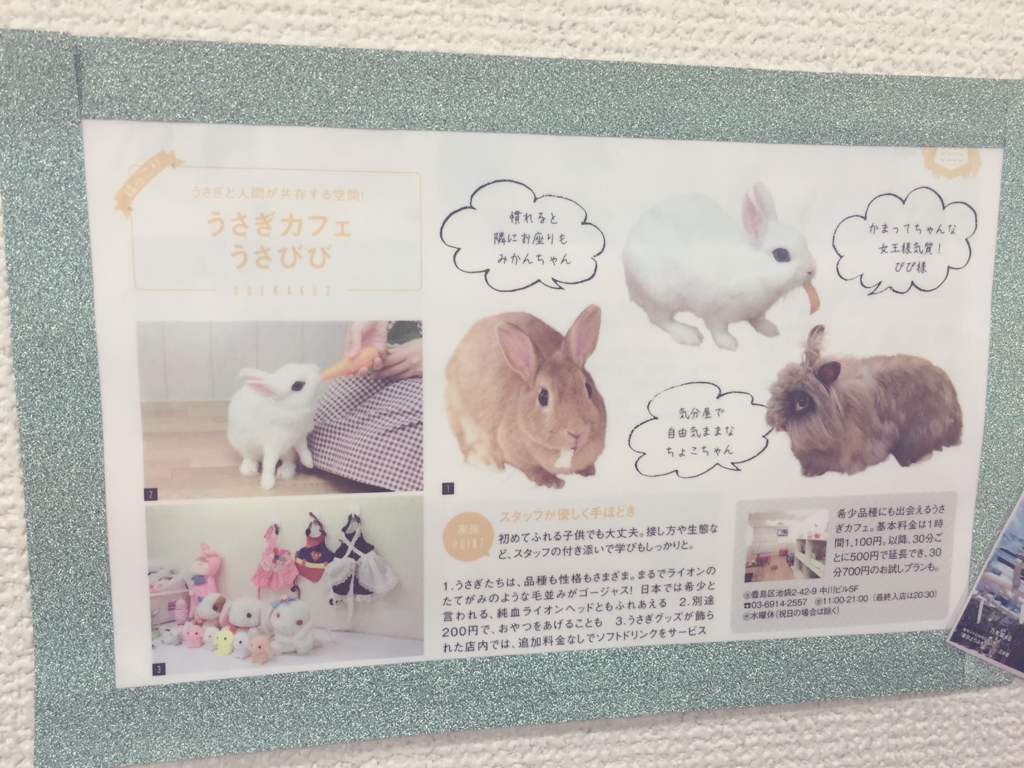 f:id:naruki_h:20160707094834j:plain