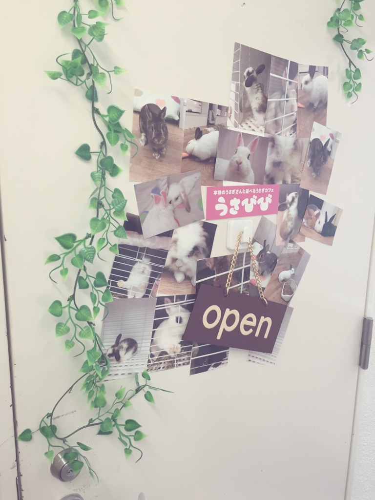 f:id:naruki_h:20160707094844j:plain