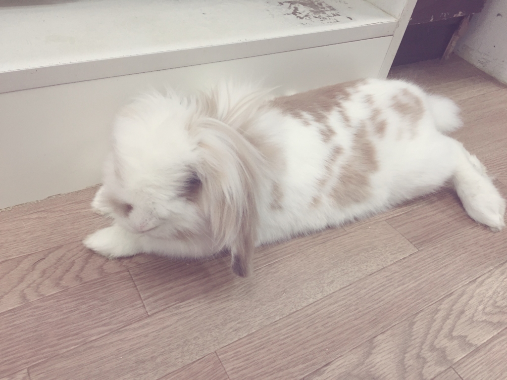 f:id:naruki_h:20160707094849j:plain