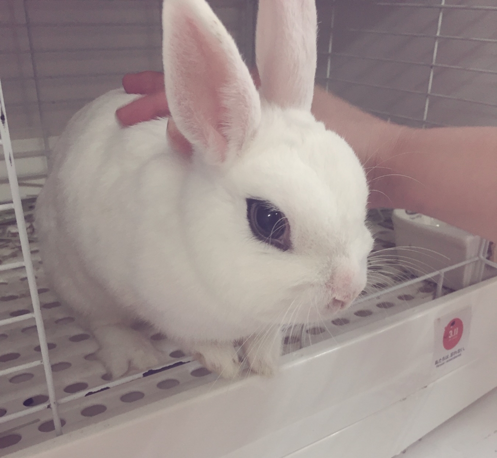 f:id:naruki_h:20160707094918j:plain