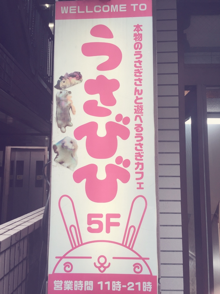 f:id:naruki_h:20160707094926j:plain