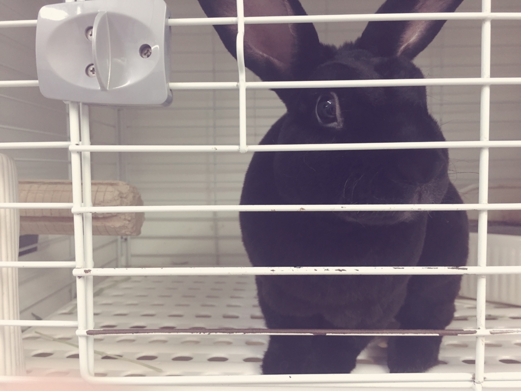 f:id:naruki_h:20160707094950j:plain