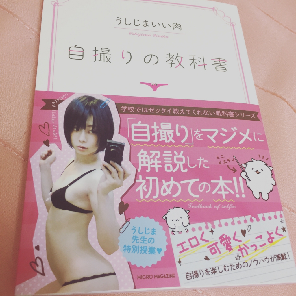 f:id:naruki_h:20161013171831j:plain