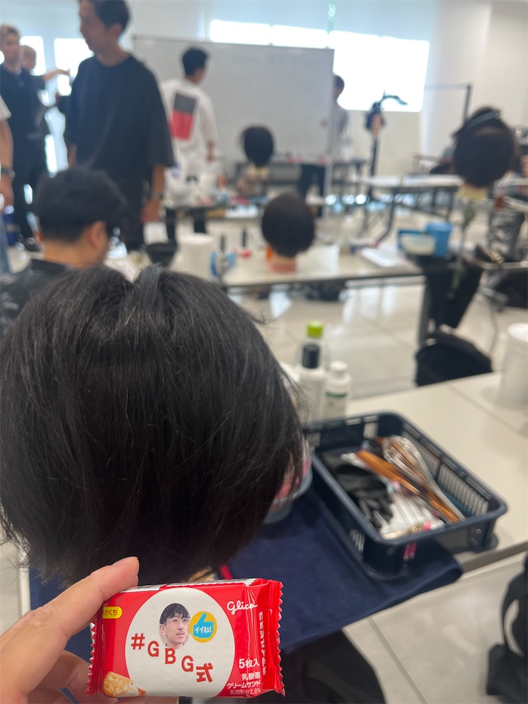 f:id:narumi-okazaki:20240830095930j:image