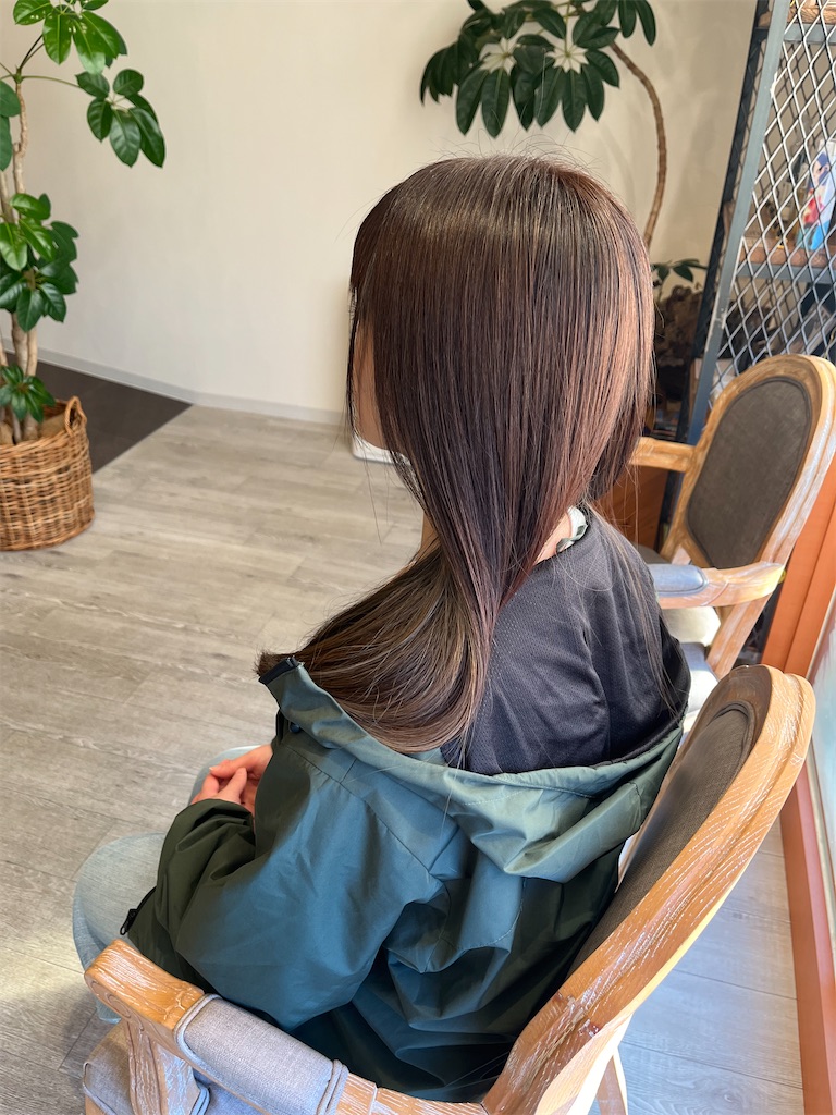 f:id:narumi-okazaki:20250207142142j:image