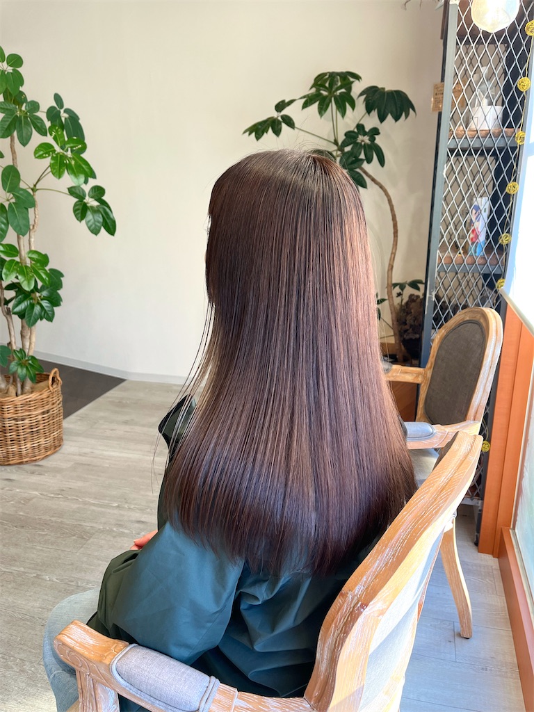 f:id:narumi-okazaki:20250207142152j:image