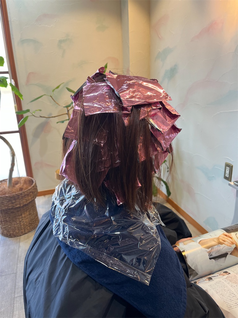 f:id:narumi-okazaki:20260629134650j:image