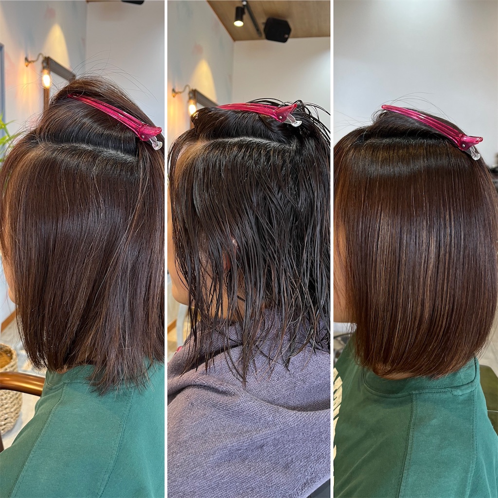 f:id:narumi-okazaki:20260629134702j:image