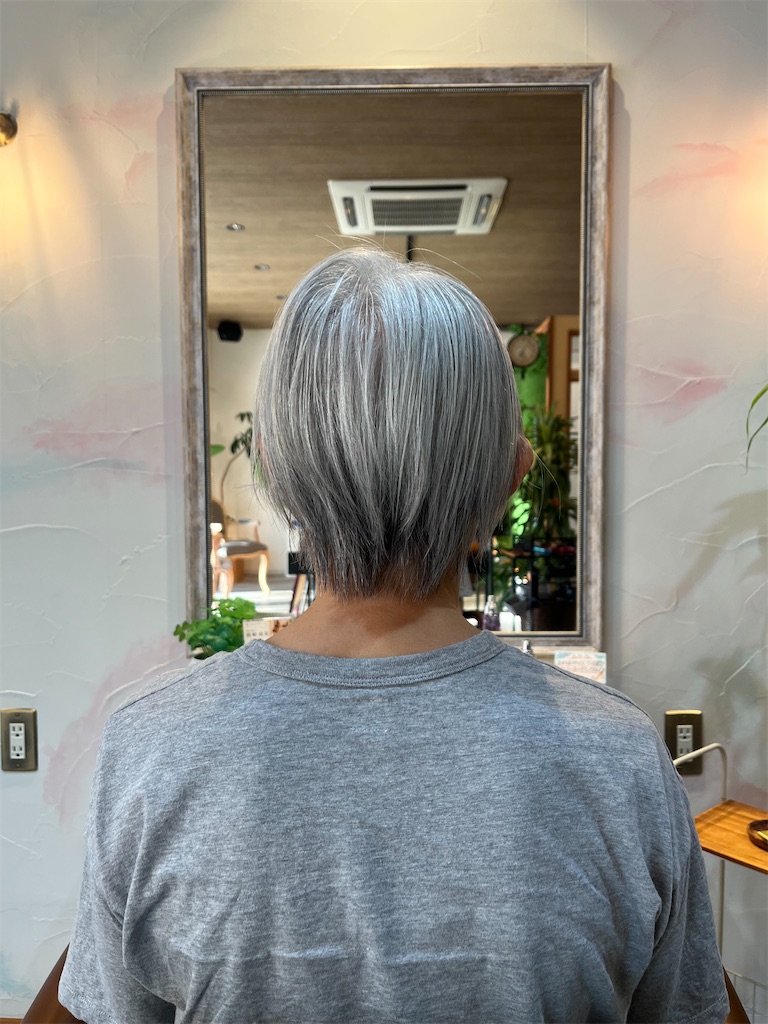 f:id:narumi-okazaki:20260722135321j:image