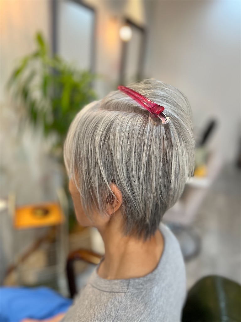 f:id:narumi-okazaki:20260722135330j:image