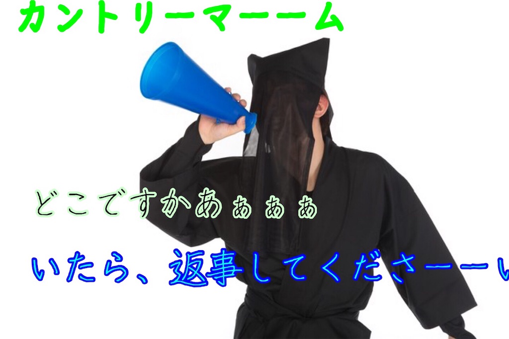 f:id:narumi087:20190312215409j:image f:id:narumi087:20190312215409j:image
