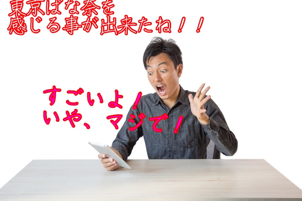 f:id:narumi087:20190314225404j:image f:id:narumi087:20190314225404j:image