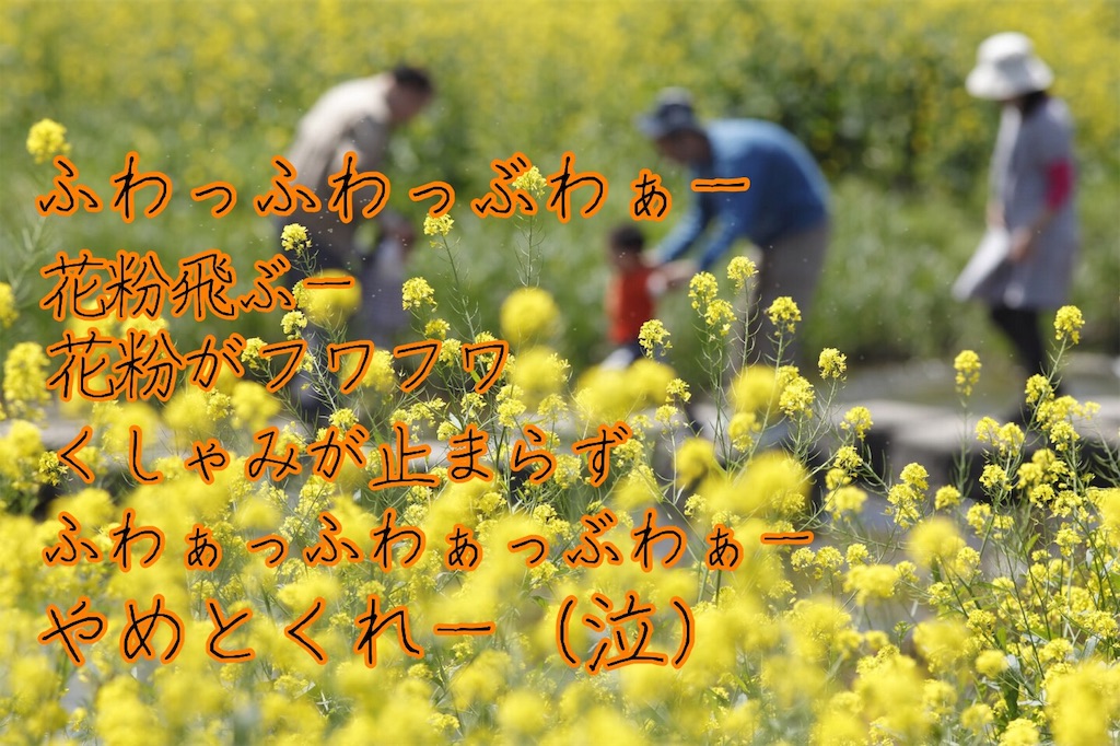 f:id:narumi087:20190319223544j:image f:id:narumi087:20190319223544j:image