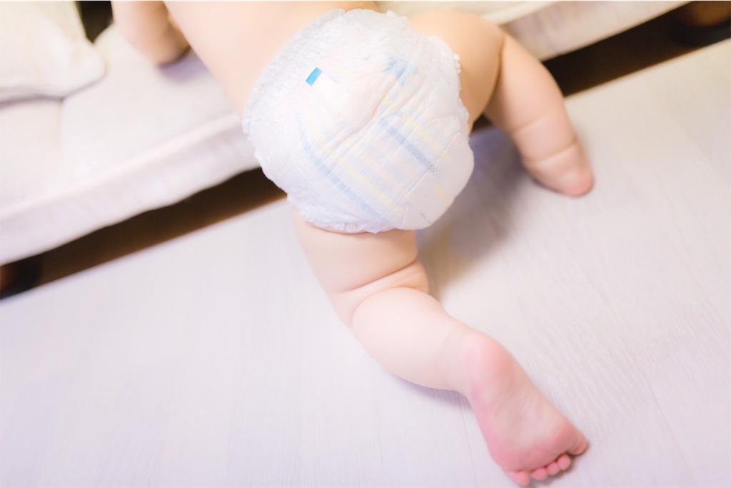 f:id:narumi087:20190329235406j:image f:id:narumi087:20190329235406j:image