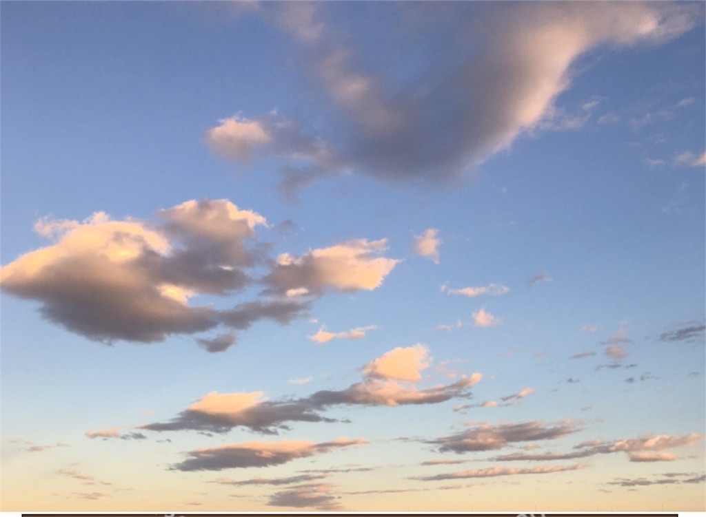f:id:narumi087:20190423081707j:image f:id:narumi087:20190423081707j:image
