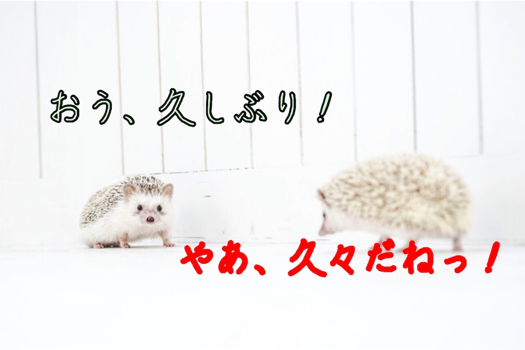 f:id:narumi087:20190507175948j:image