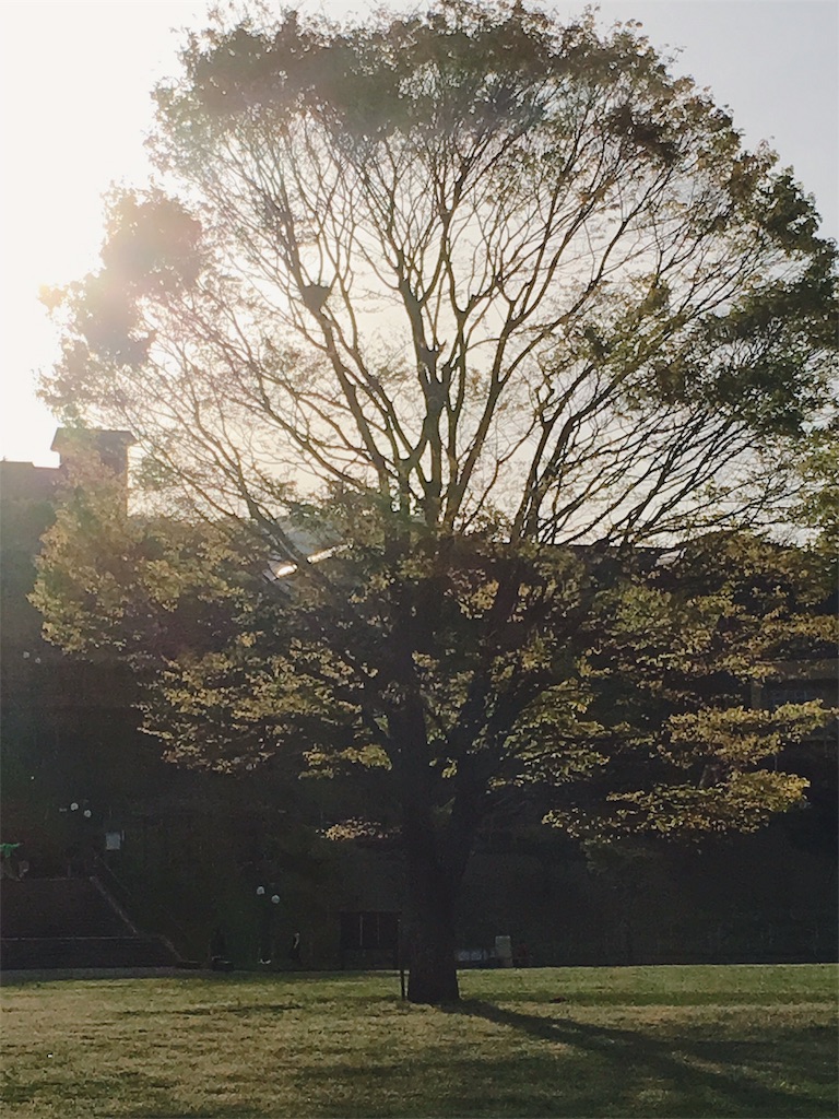 f:id:narumi087:20190507180633j:image