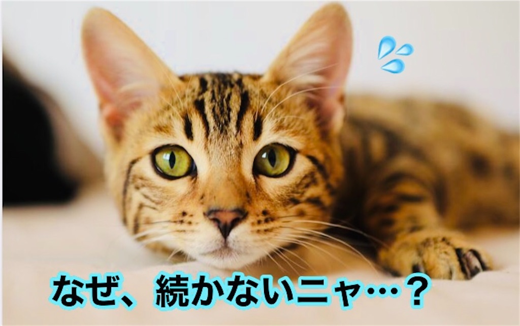 f:id:narumi087:20210220170351j:image f:id:narumi087:20210220170351j:image