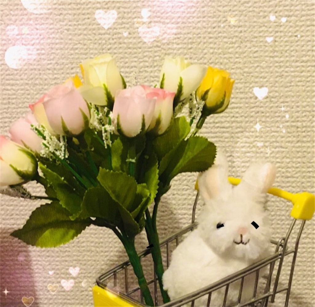 f:id:narumi087:20210220174124j:image f:id:narumi087:20210220174124j:image