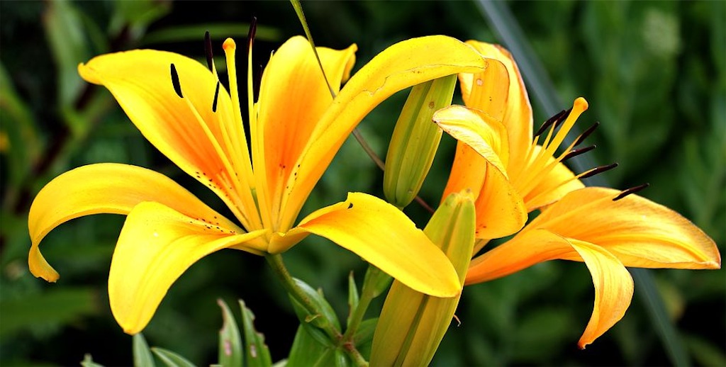 f:id:narumi087:20210430225448j:image f:id:narumi087:20210430225448j:image
