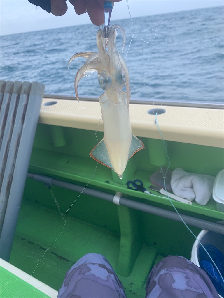 釣行記 相模湾 茅ケ崎港 まごうの丸 ライトマルイカ 実釣編 にぃやんの東京湾 相模湾釣り日記
