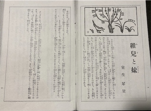 f:id:naruminarum:20220202230900j:image