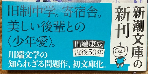 新潮文庫「少年」(川端康成「少年」⑳) - うみなりブログ。