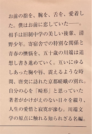 f:id:naruminarum:20220331231455j:image