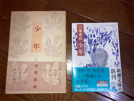 f:id:naruminarum:20220621210610j:image