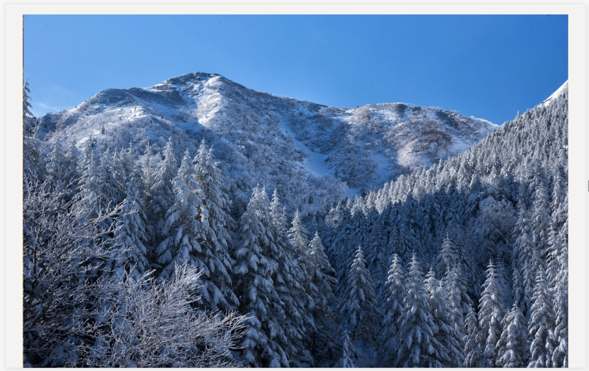 f:id:narunaru7638:20190413231030p:plain f:id:narunaru7638:20190413231030p:plain