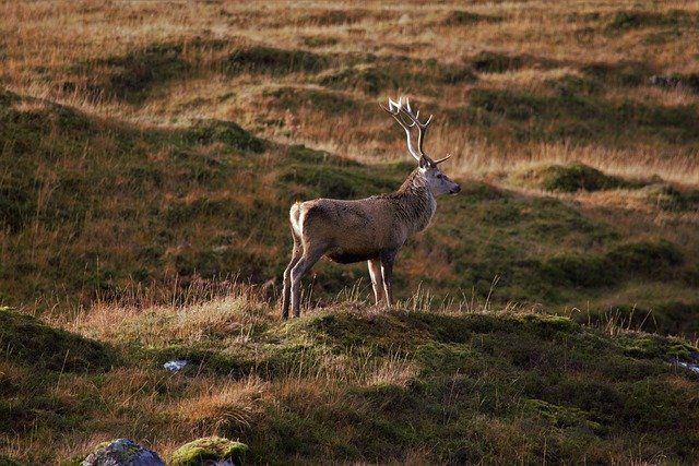 f:id:narusa-office:20201105113740j:plain