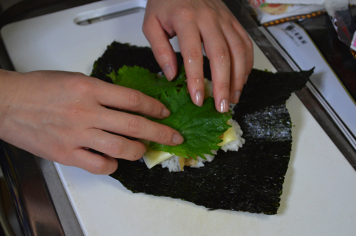 f:id:naruse_e:20150508171016j:plain f:id:naruse_e:20150508171016j:plain