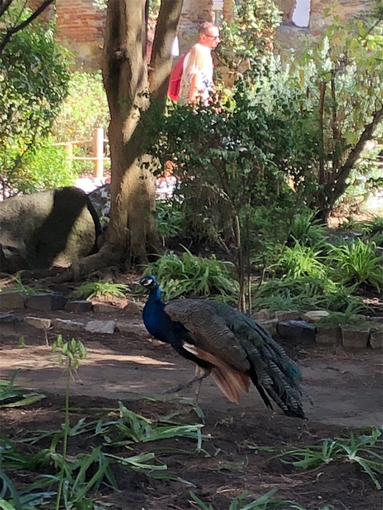 f:id:narutabi:20190825201505j:image