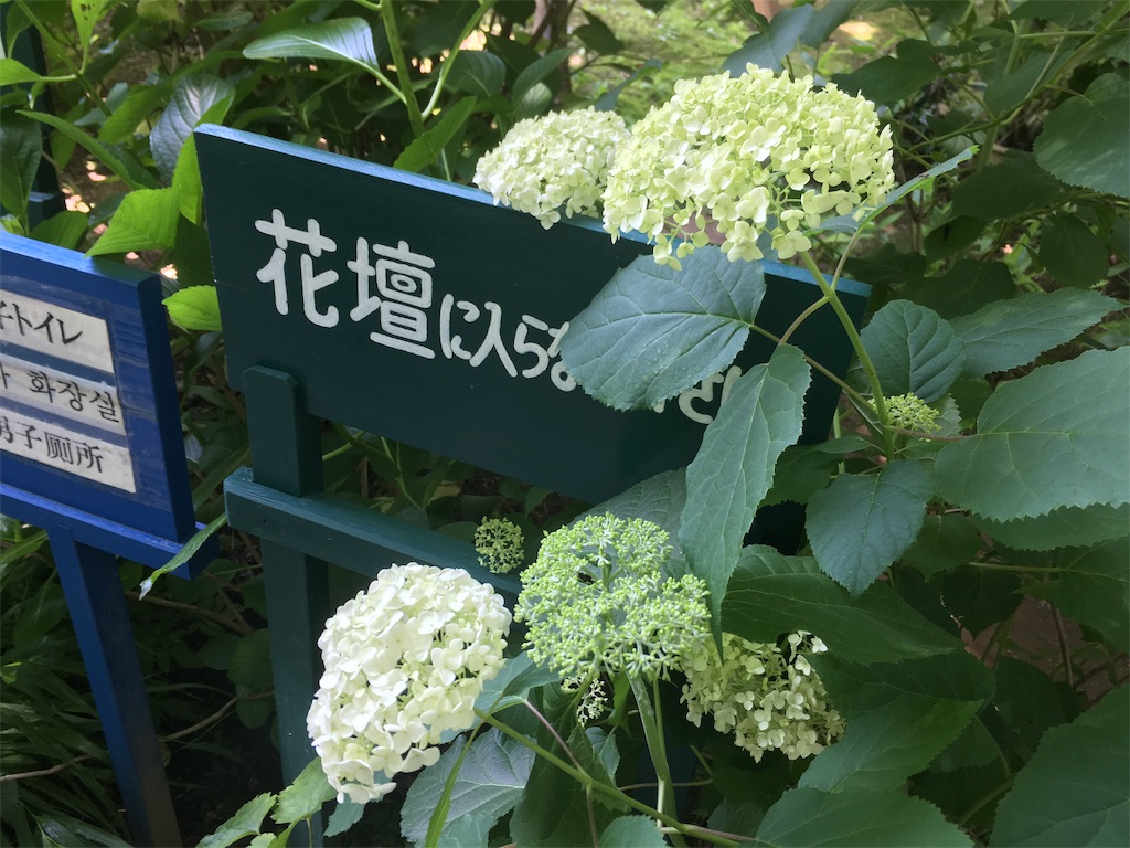 f:id:narutabi:20190829221749j:image