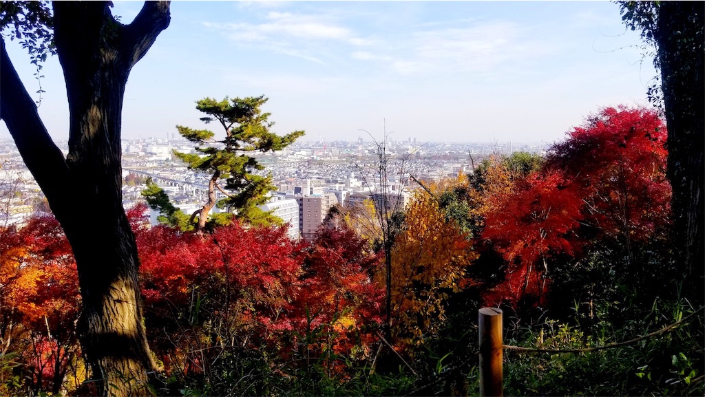 f:id:narutabi:20191017223414j:image