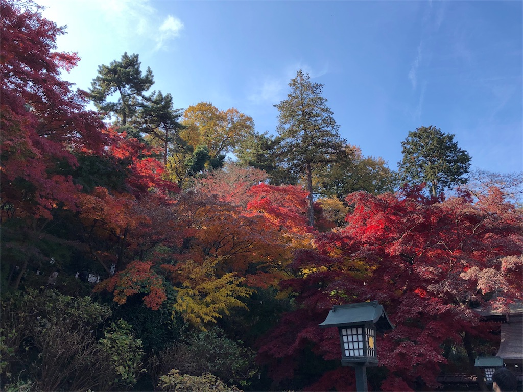 f:id:narutabi:20191017223426j:image