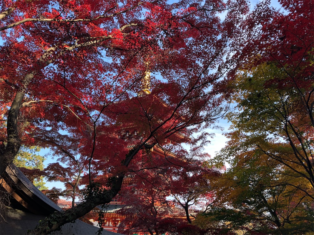 f:id:narutabi:20191017223433j:image