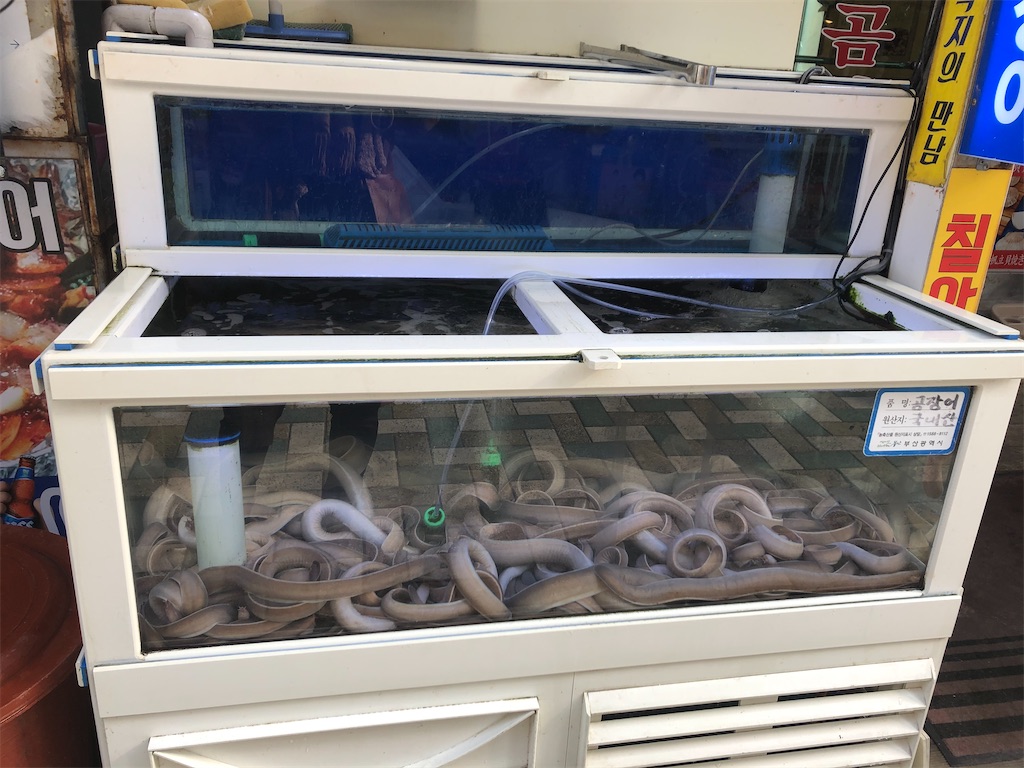 f:id:narutabi:20200207234940j:image