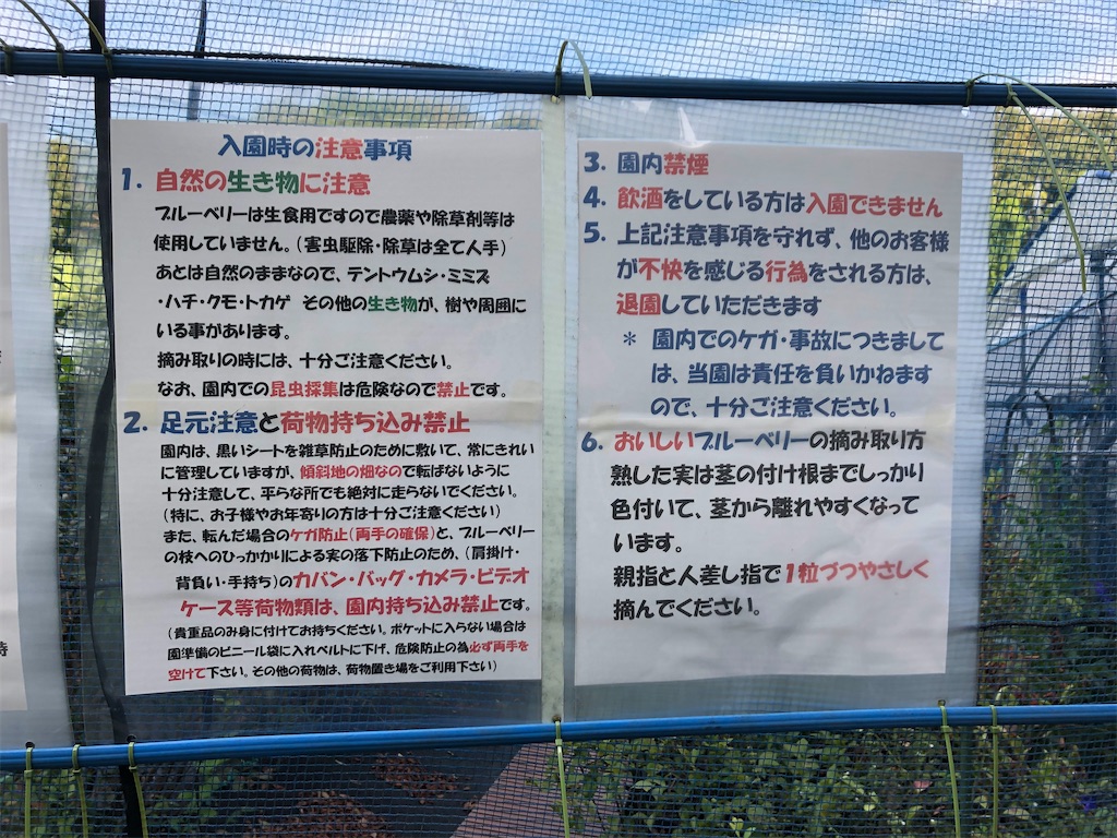 f:id:narutabi:20200825205222j:image