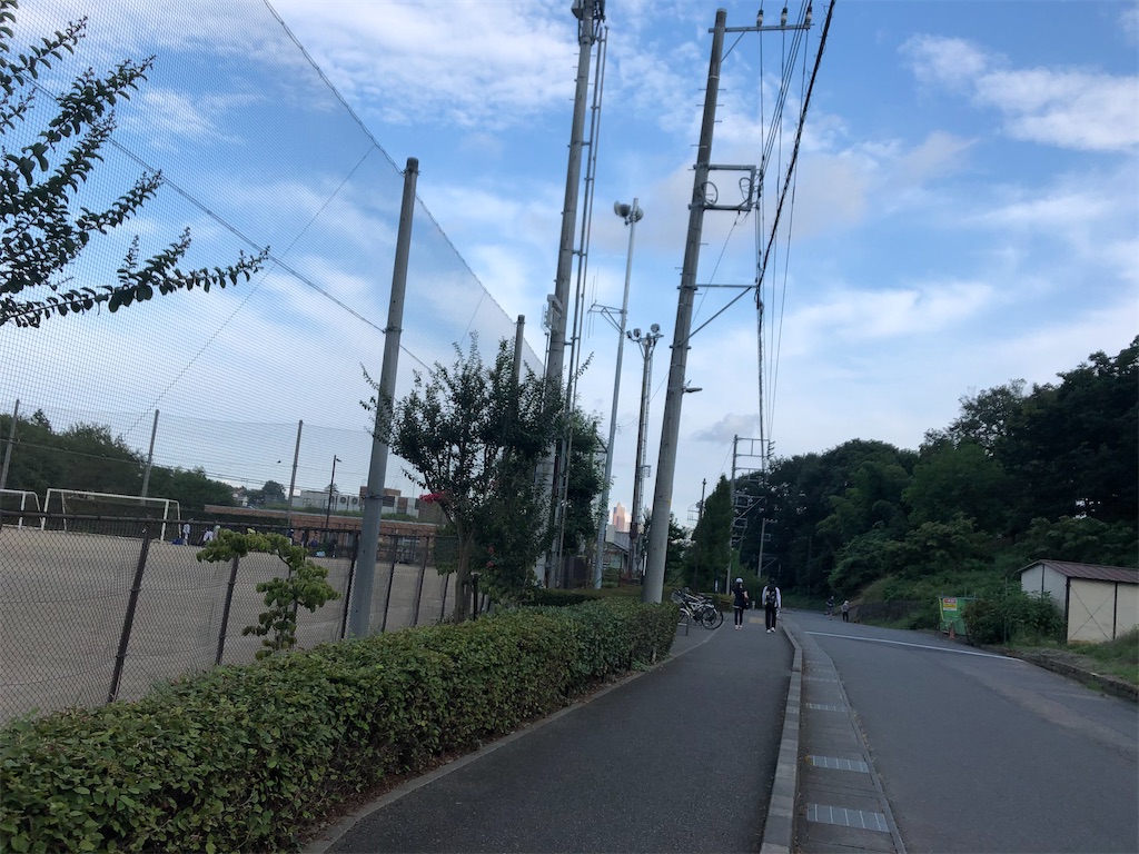 f:id:narutabi:20200825205302j:image f:id:narutabi:20200825205302j:image
