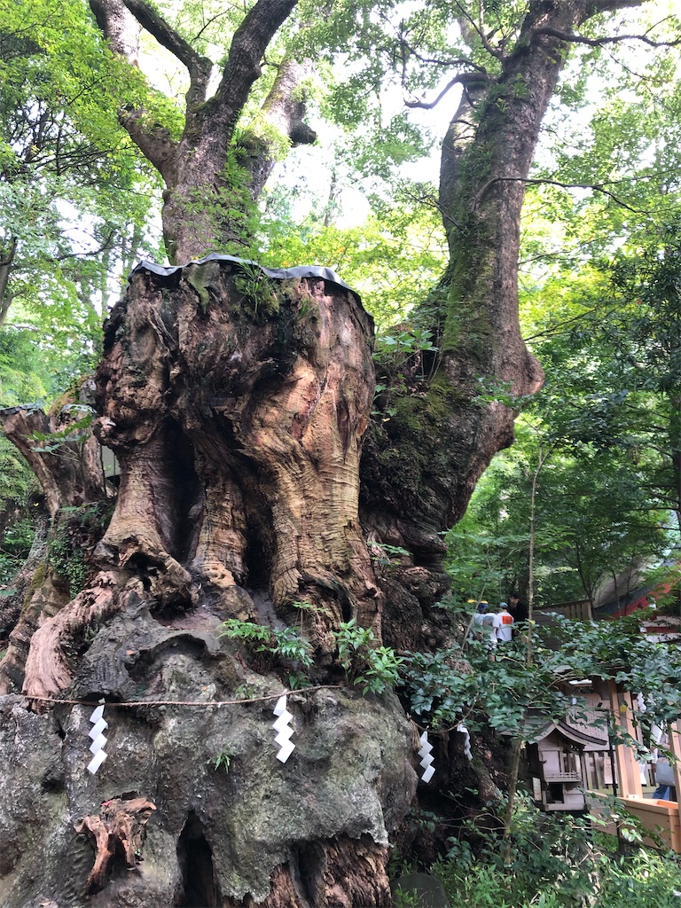 f:id:narutabi:20201014182149j:image