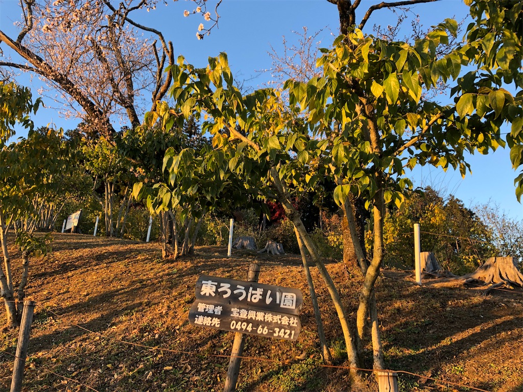 f:id:narutabi:20201122215011j:image f:id:narutabi:20201122215011j:image