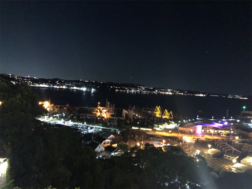 f:id:narutabi:20201221155925j:image