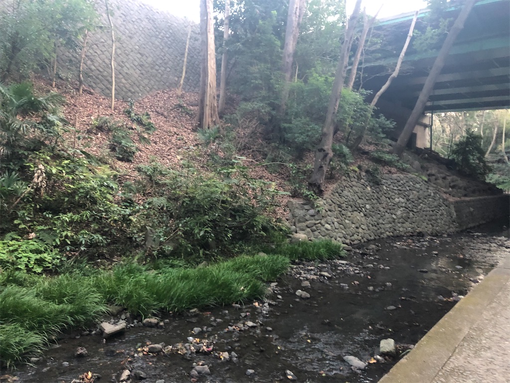 f:id:narutabi:20210306020018j:image