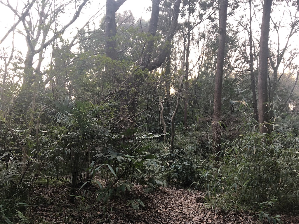 f:id:narutabi:20210306020028j:image