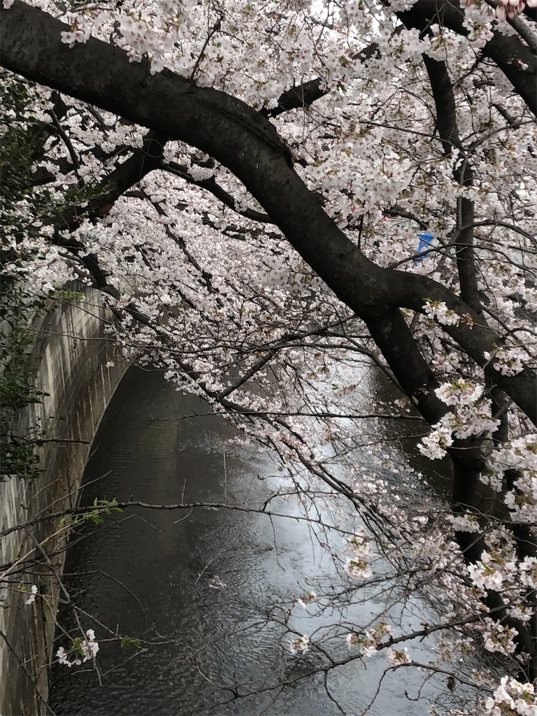 f:id:narutabi:20210328133120j:image