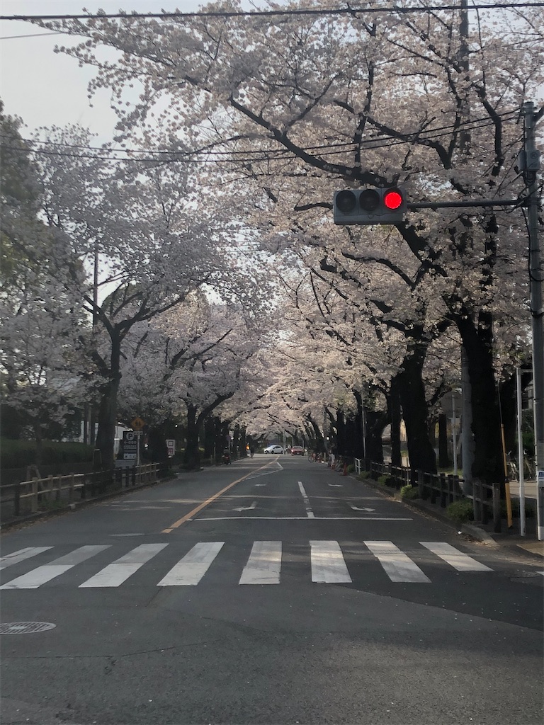 f:id:narutabi:20210328133143j:image f:id:narutabi:20210328133143j:image