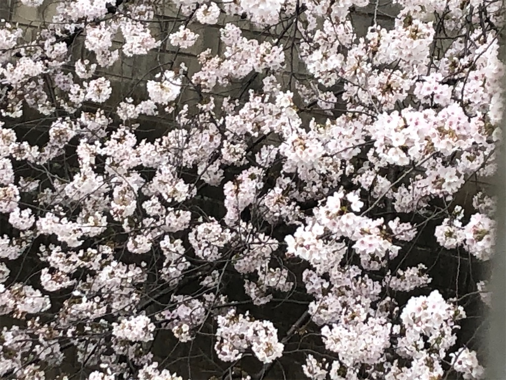 f:id:narutabi:20210328133157j:image f:id:narutabi:20210328133157j:image