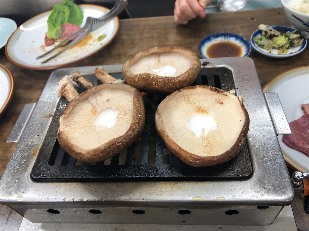f:id:narutabi:20210504182712j:image
